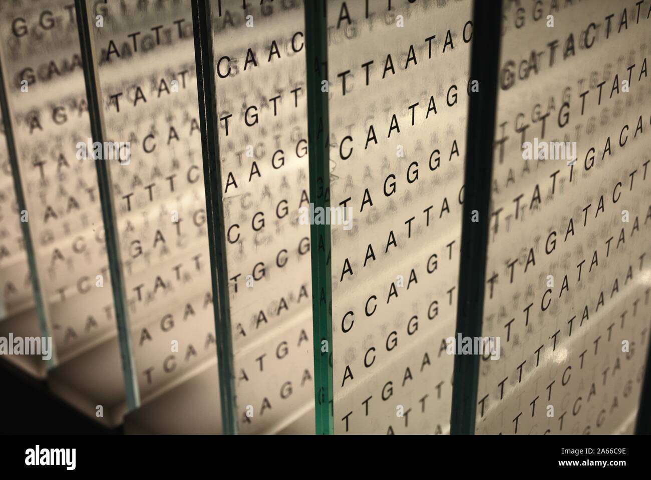 Genetic code on glass 3d Stock Photo