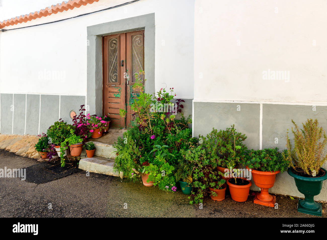 Moncarapacho pot potted plants flowers outside house down side street Moncarapacho Algarve, Portugal Stock Photo
