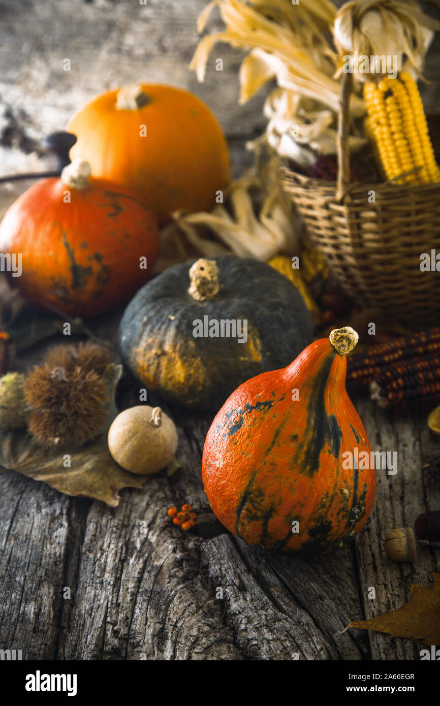 Thanksgiving day dinner. Autumn fruit with leaves. Thanksgiving autumn background Stock Photo