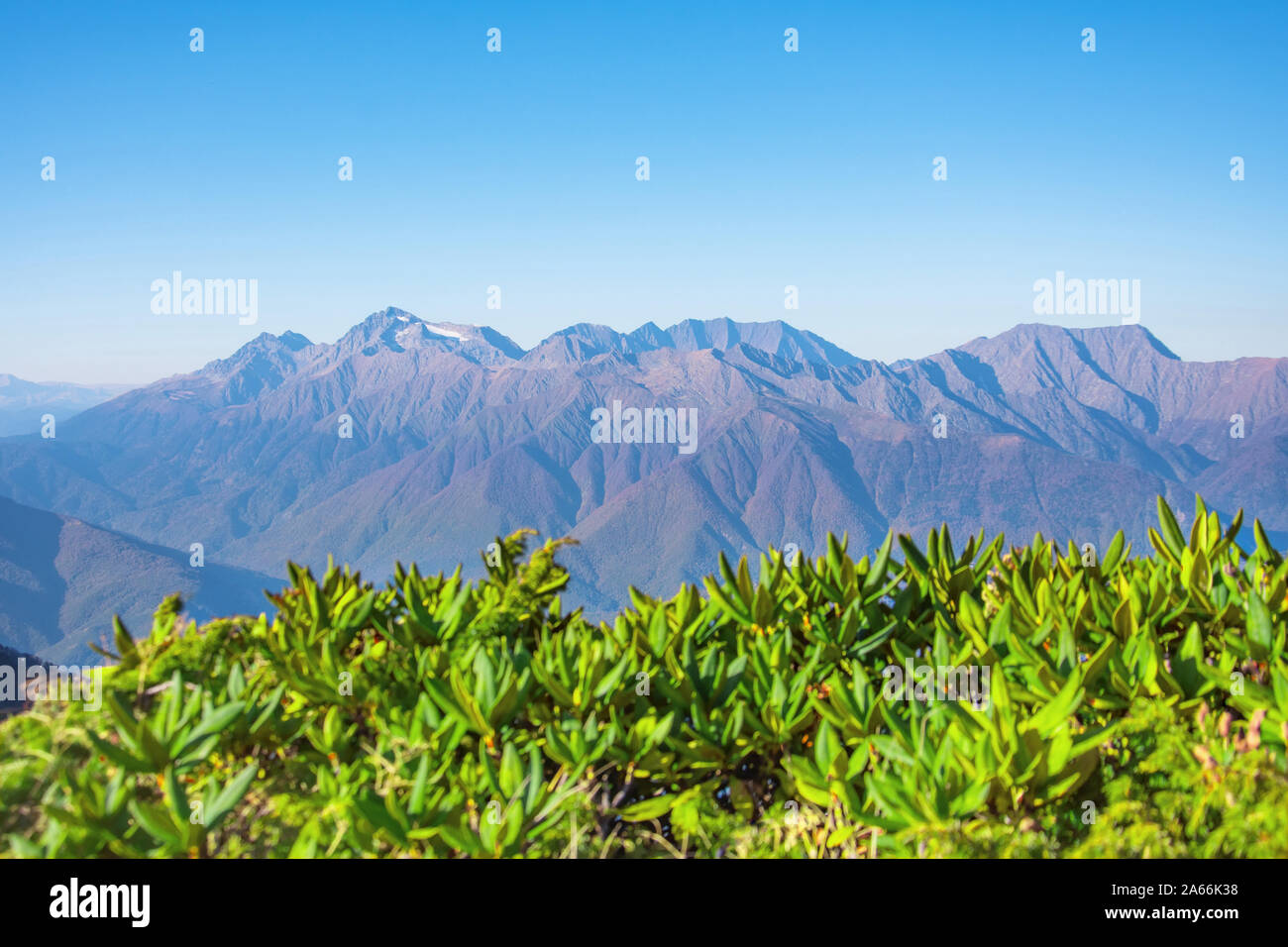 Himalayas panoramic hi-res stock photography and images - Alamy