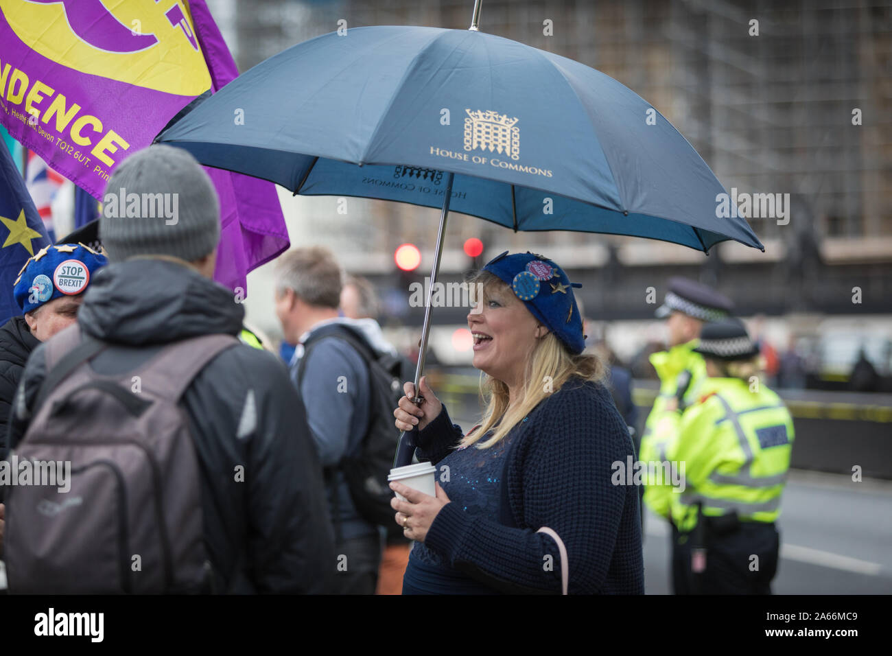An anti-Brexit campaigner at College Green outside the Houses of Parliament Stock Photo