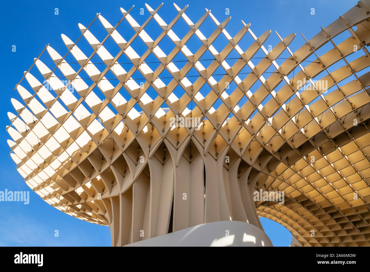 Close up of Seville Metropol Parasol Seville Sevilla Mushrooms Las Setas De Sevilla Plaza de la Encarnación Seville Spain seville Andalusia EU Europe Stock Photo