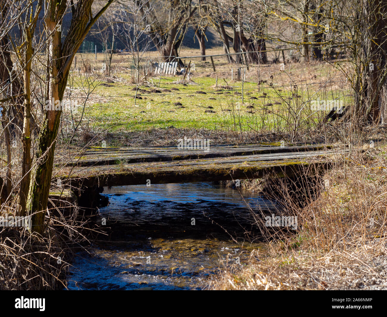 Small wooden bridge over a creek  in spring Stock Photo