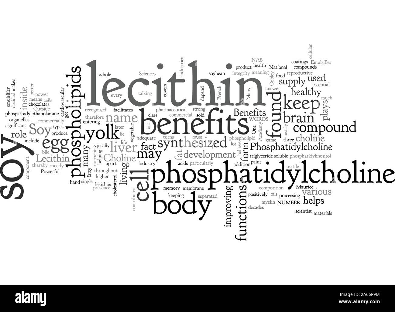 Fatty Liver Cells High Resolution Stock Photography and Images Alamy