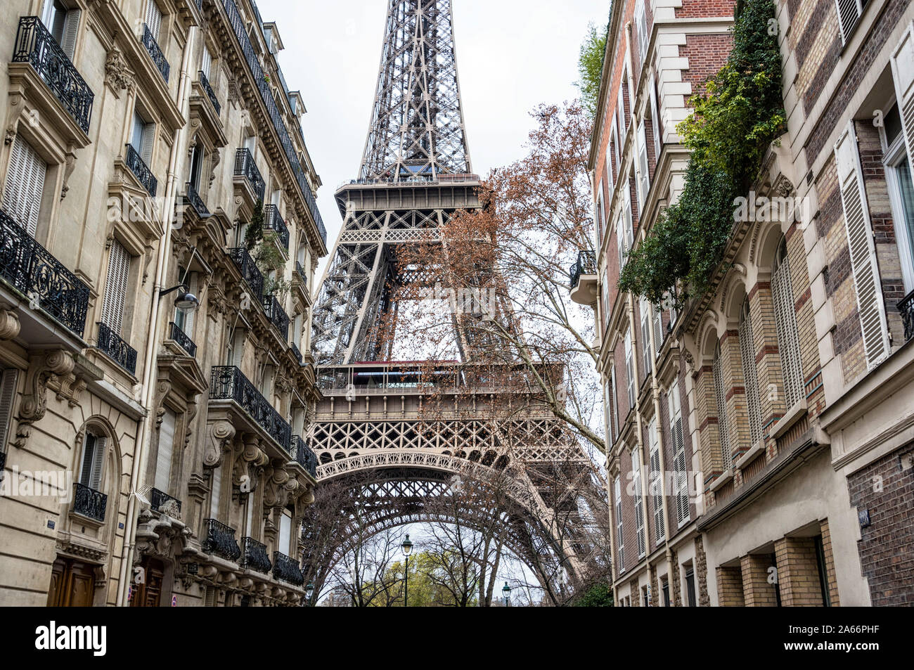 A view towards Eiffel Tower, Paris, France Stock Photo