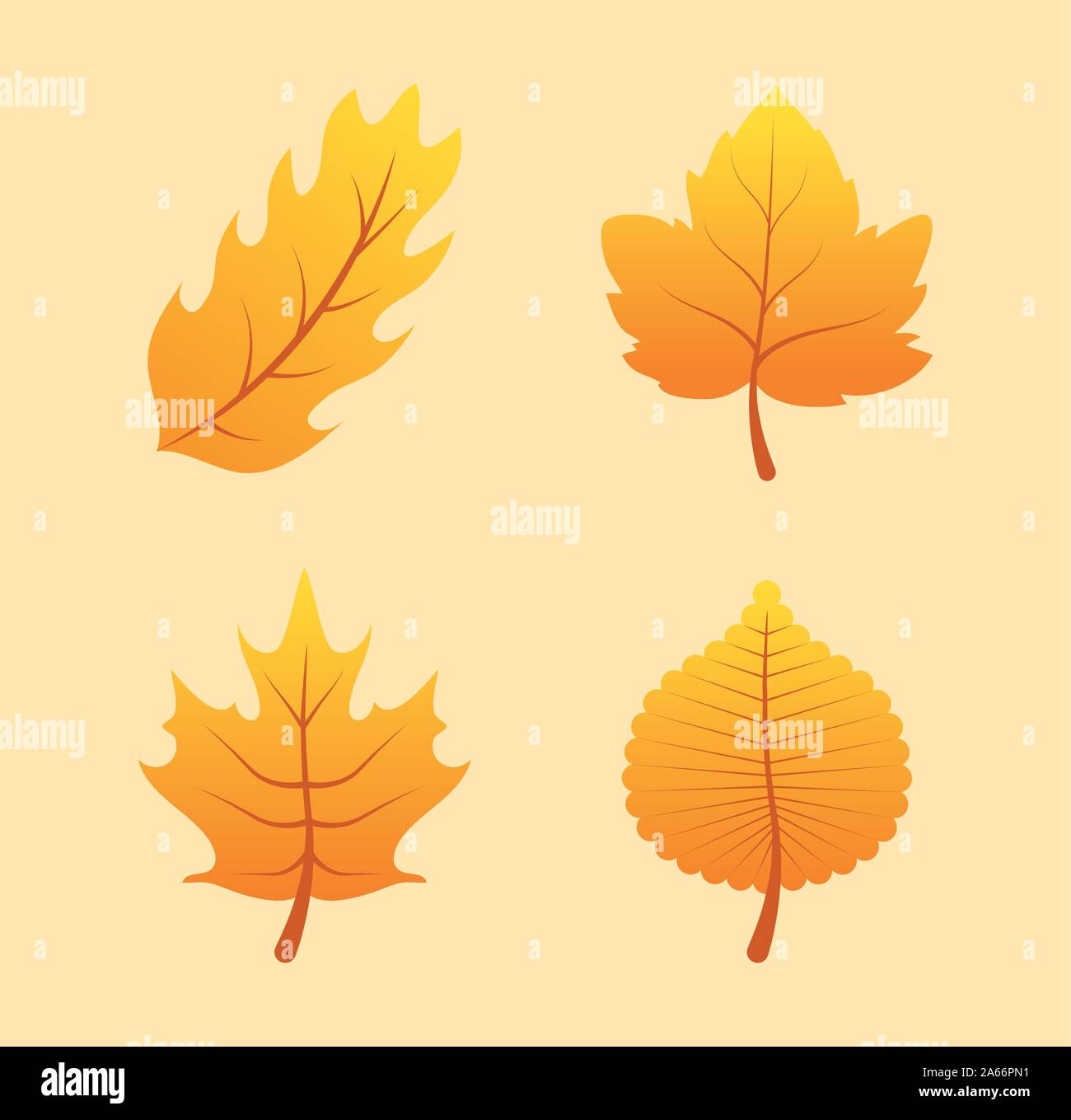 autumn season set leafs icons Stock Vector