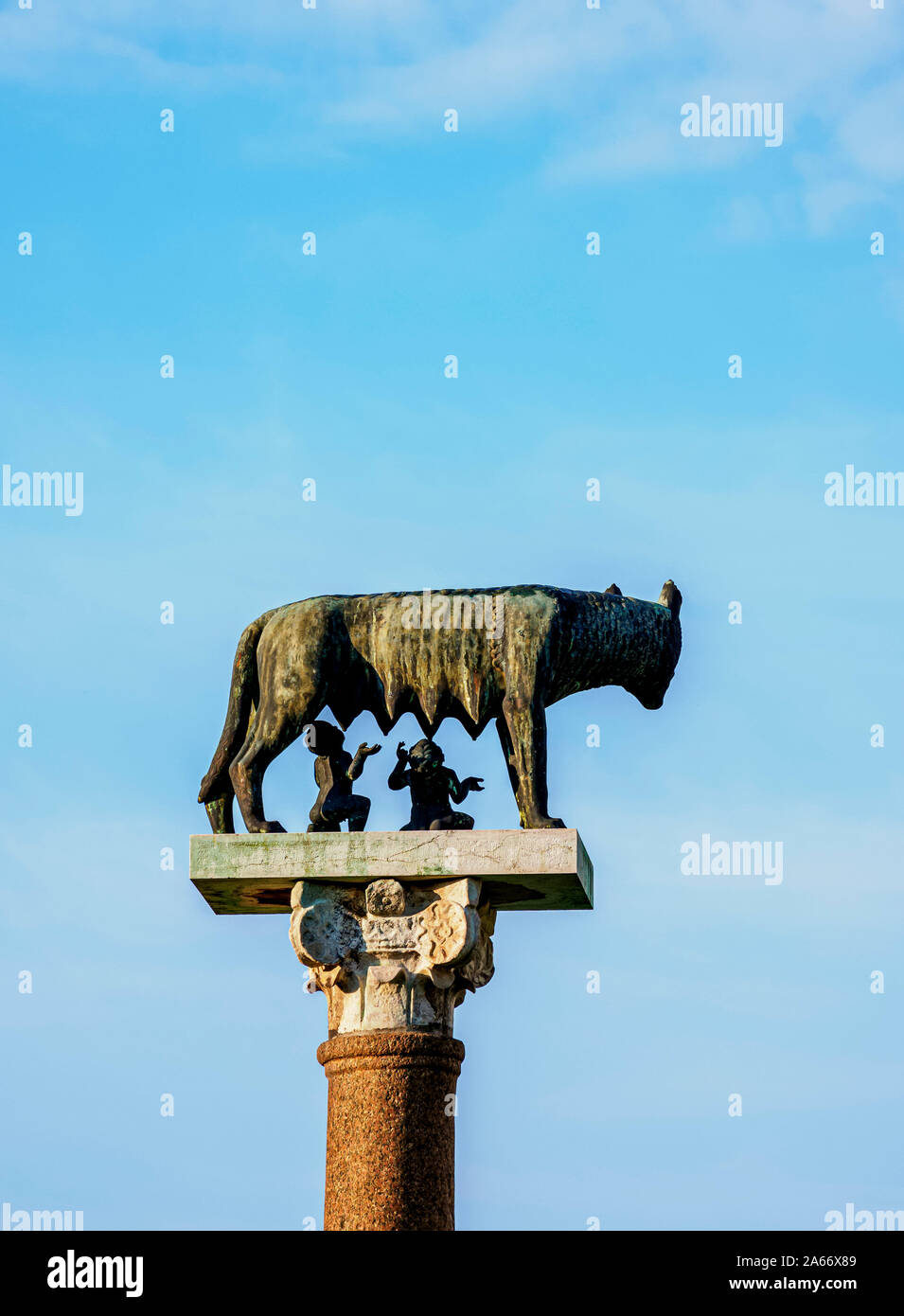 Capitoline Wolf, Piazza dei Miracoli, Pisa, Tuscany, Italy Stock Photo