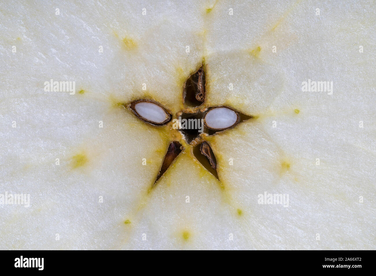 Cut fresh apple in half, slice. Apple center core and seed on background, close up, top view. Concept of healthy eating Stock Photo