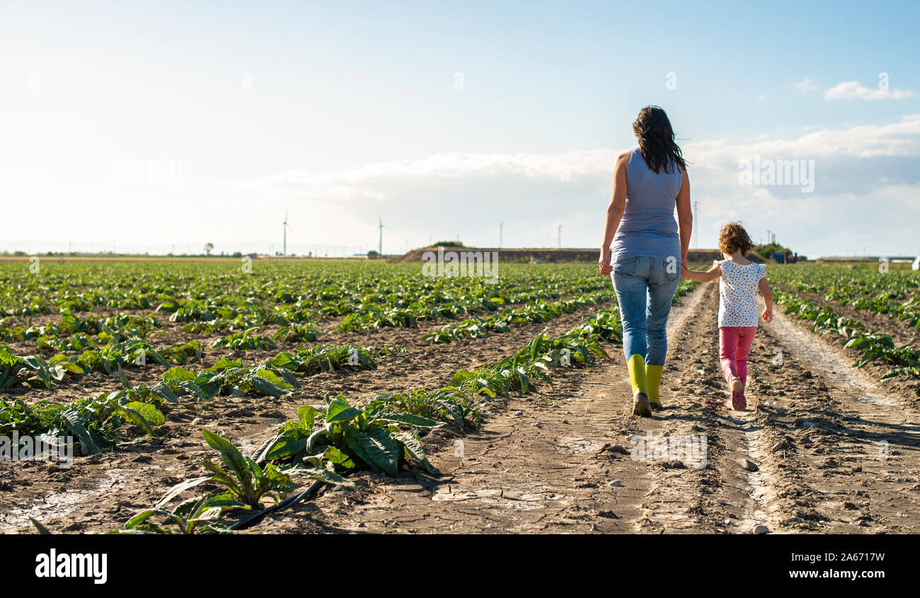 Woman farmer and little girl walking on the agriculture land. Child and mother in plantation. Sun light and shadows. Stock Photo