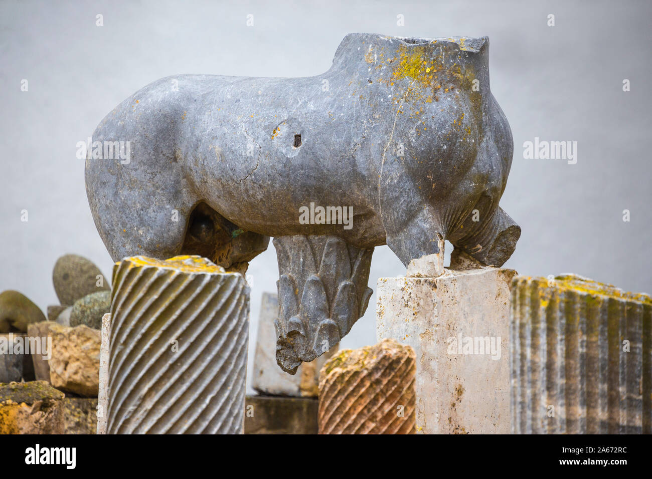 Tunisia, Tunis, Carthage, Byrsa Hill, Animal statue Stock Photo