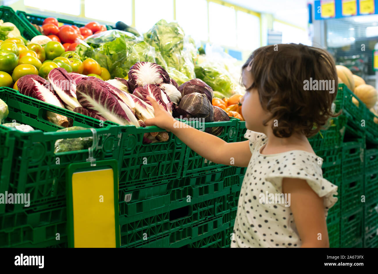 Child shopping radicchio in supermarket. Concept for buying  vegetables in hypermarket. Little girl hold shopping basket. Stock Photo