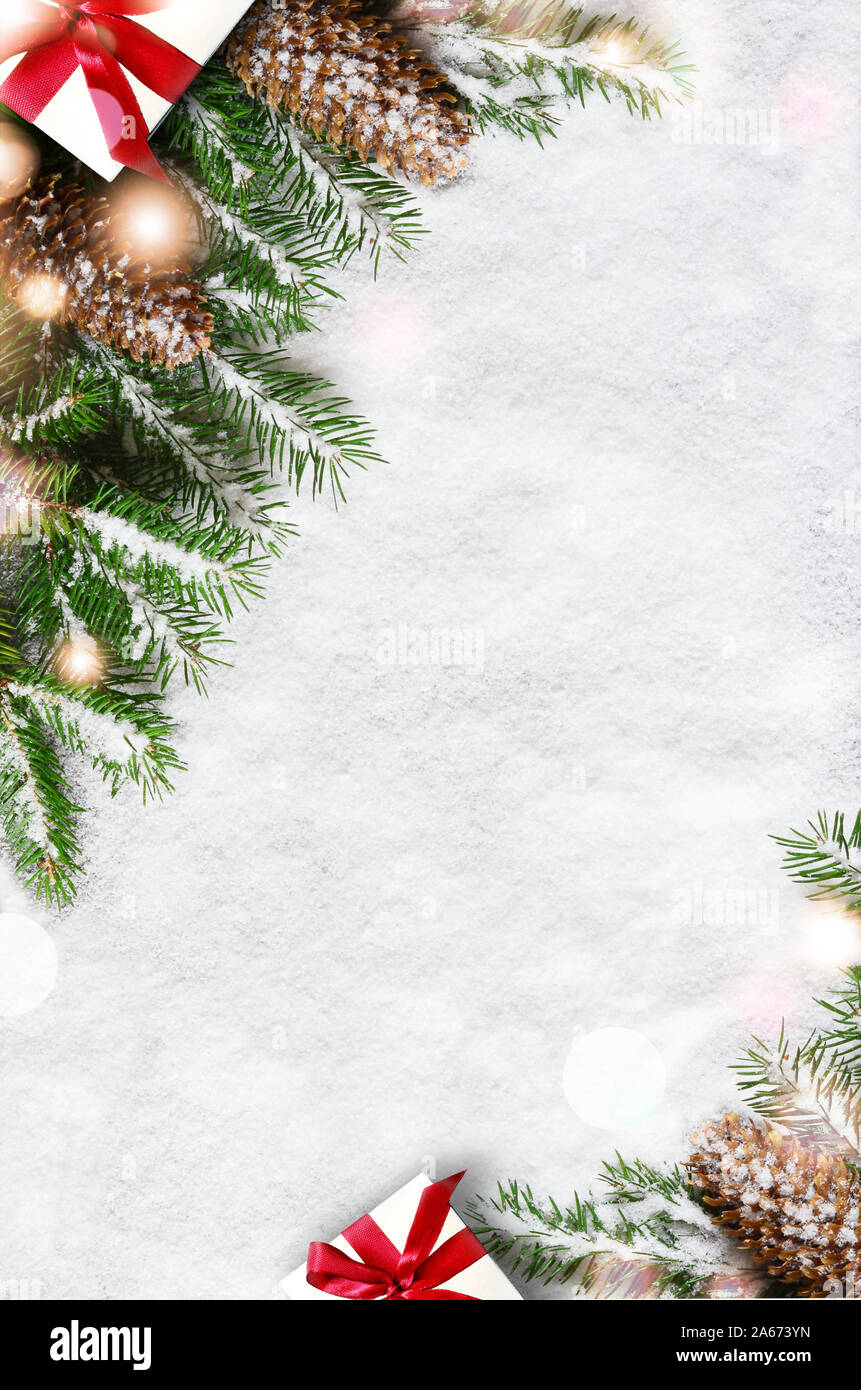 Christmas background, green pine branches, cones on snow background ...