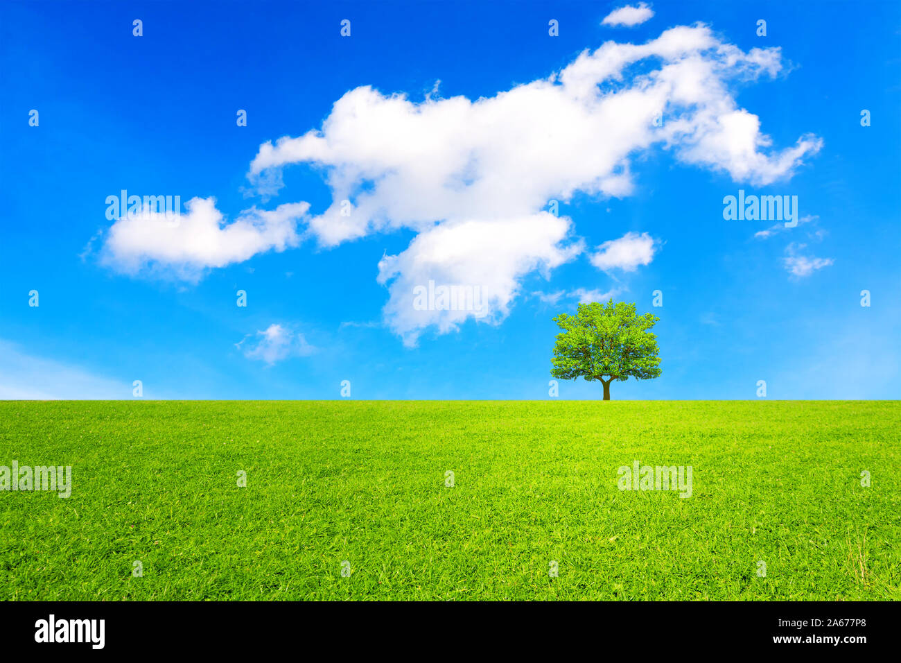 Tree, field and beautiful sky Stock Photo - Alamy
