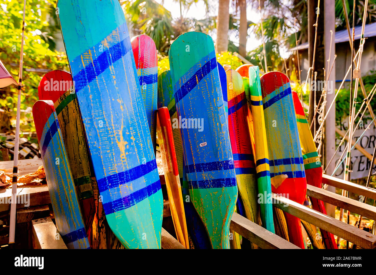 Wooden canoe paddles are displayed, Oct. 6, 2019, in Apalachicola, Florida. Stock Photo