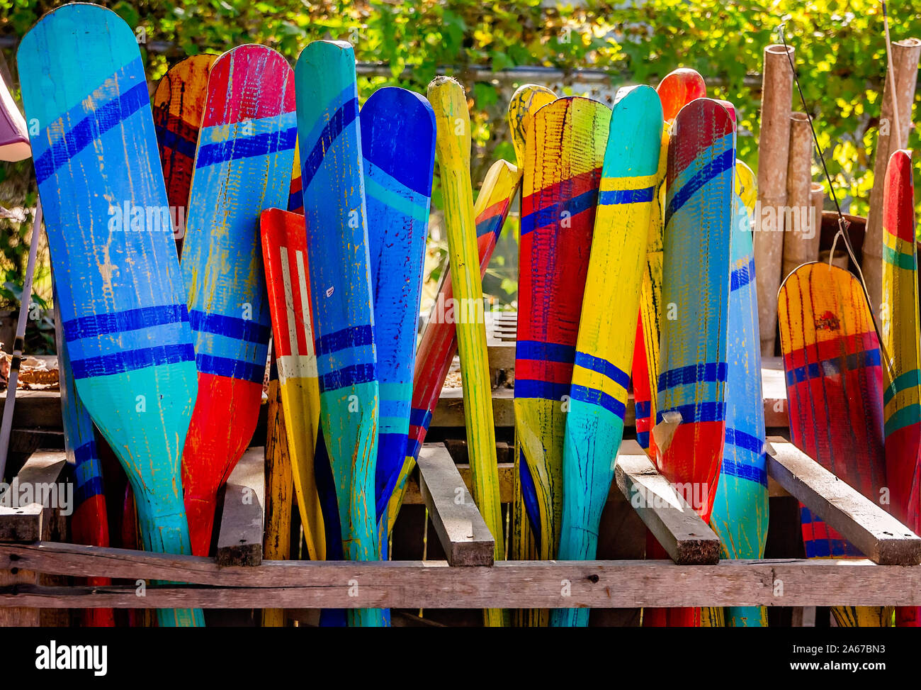 Wooden canoe paddles are displayed, Oct. 6, 2019, in Apalachicola, Florida. Stock Photo