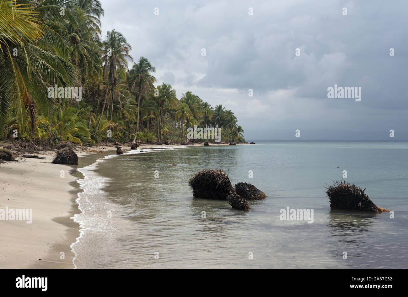 Panoramic view of the beach of Boca del Drago Panama Stock Photo