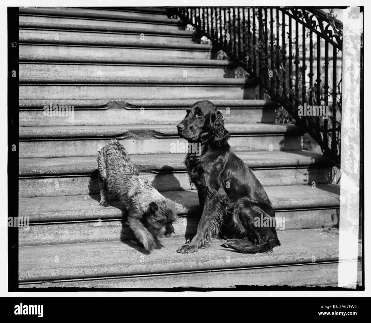 Whoopee & Englehurst, 3/29/29 Stock Photo