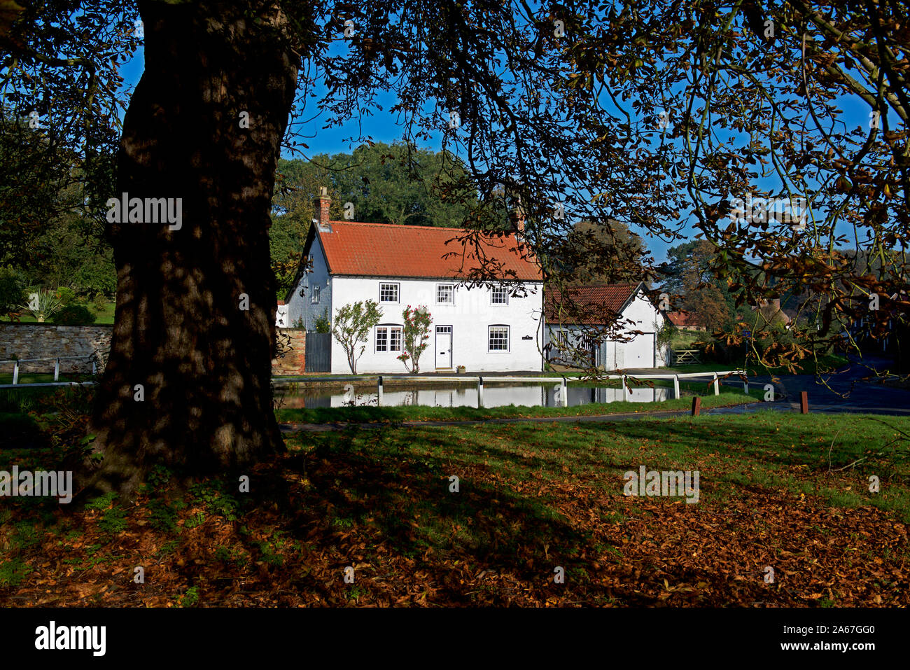 House and village pond in Burton, East Yorkshire, England