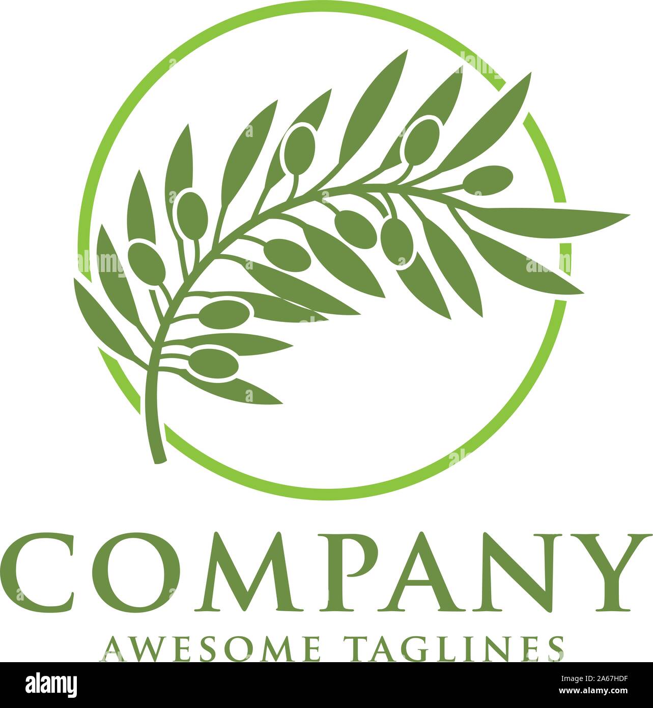 Green olives on branch vector illustration Stock Vector Image & Art - Alamy