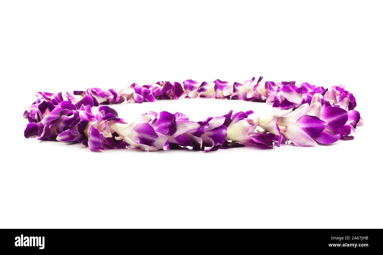 Isolated Purple Lei Flower Garland Isolated. Hawaiian purple and white floral lei wreath garland. Stock Photo