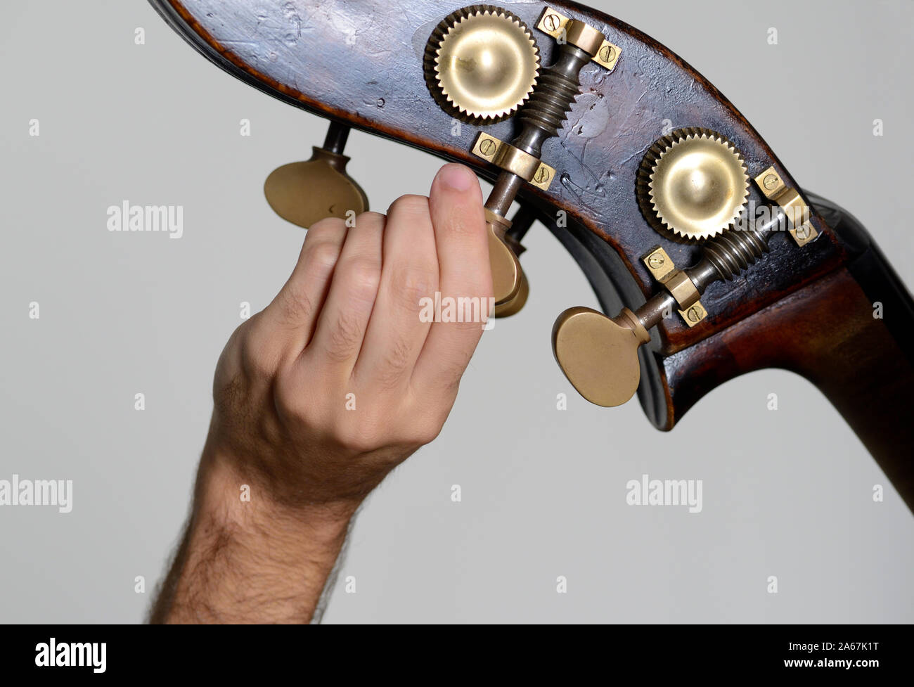 Man Tuning his Double Bass Stock Photo Alamy