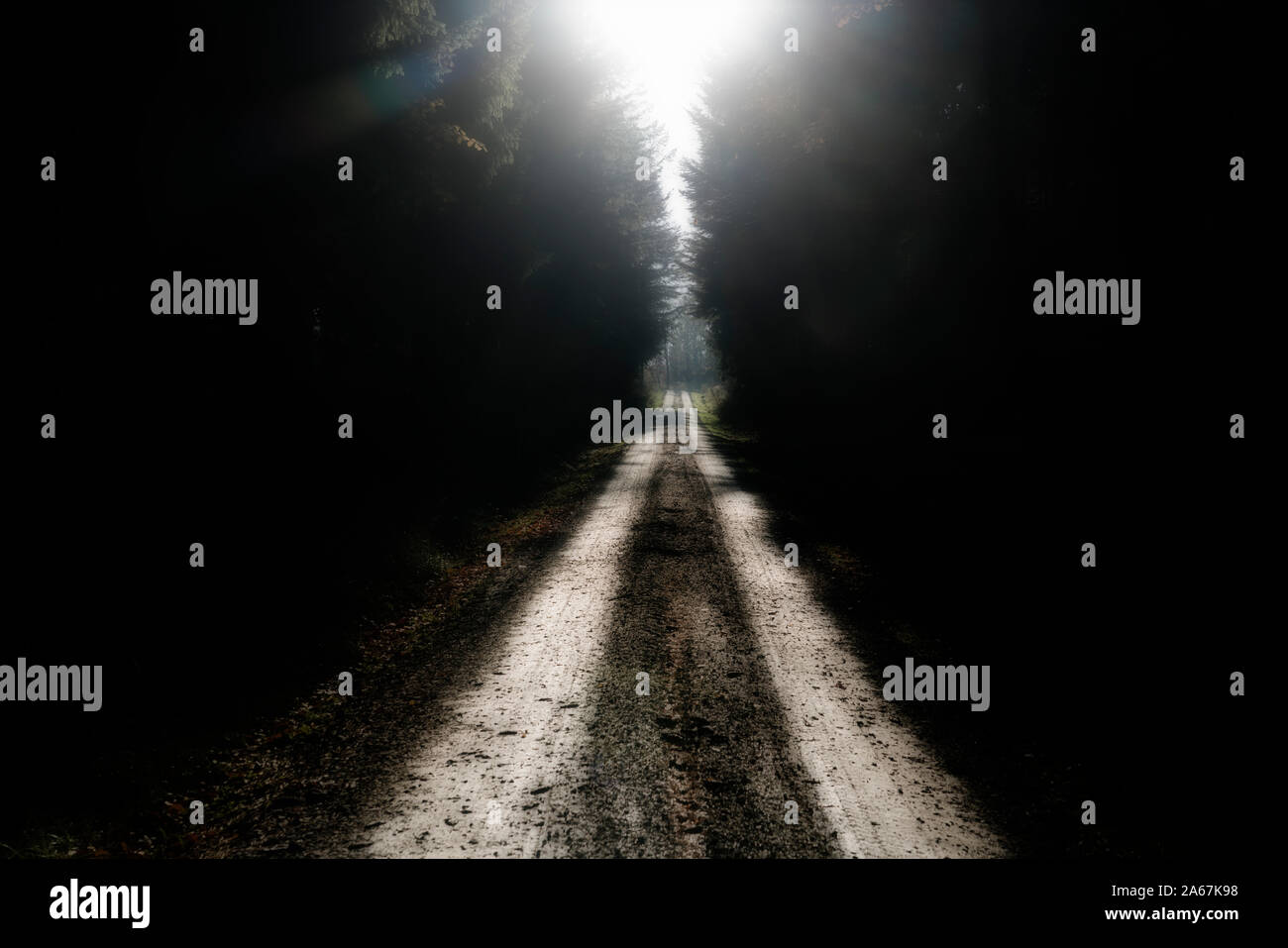 forest path, Oberweser, Weser Uplands, Weserbergland, Hesse, Germany Stock Photo
