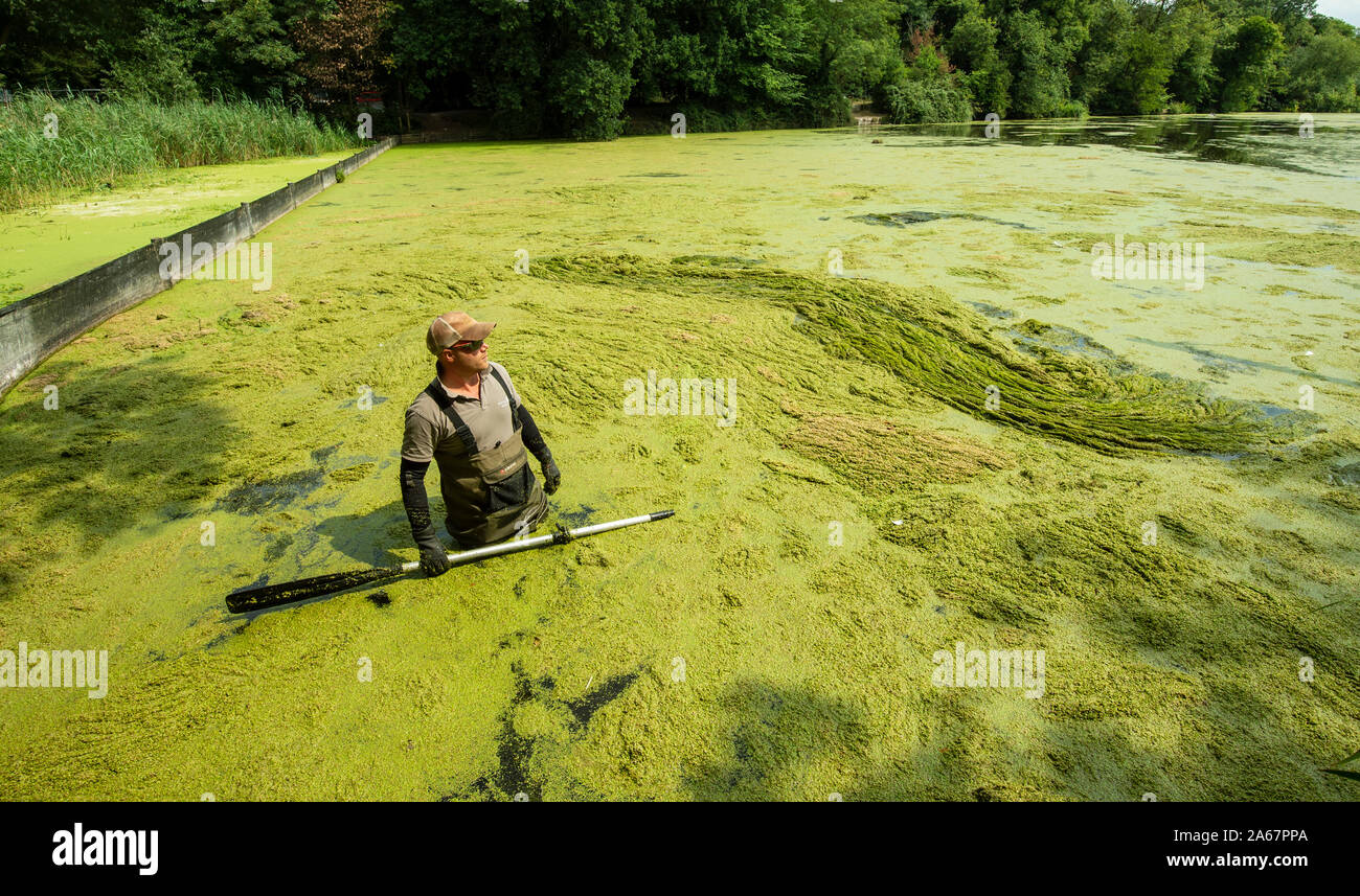 Called Scum High Resolution Stock Photography And Images Alamy