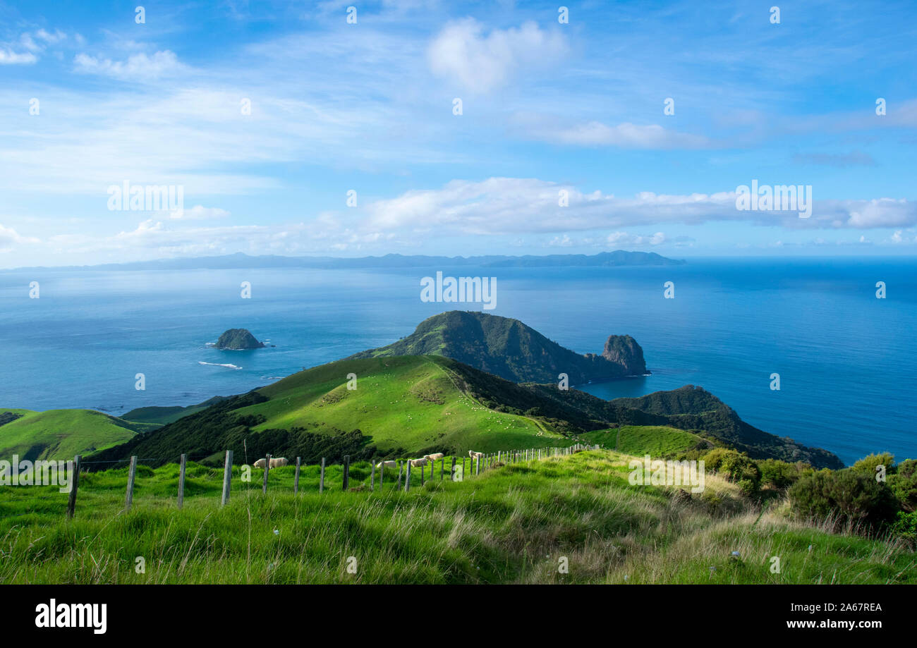Panorama of nature in New Zealand. Stock Photo