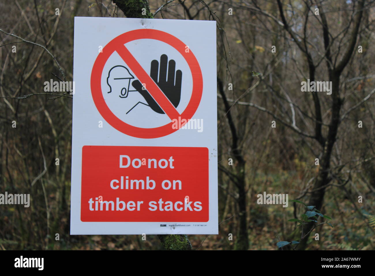No Timber Sign Woodland Management sign, do not climb on timber stacks, Finsthwaite ...