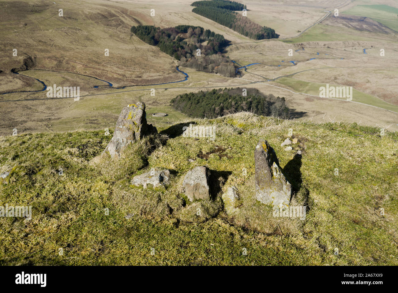 On Woden Law hill fort, in the Cheviot Hills Stock Photo Alamy