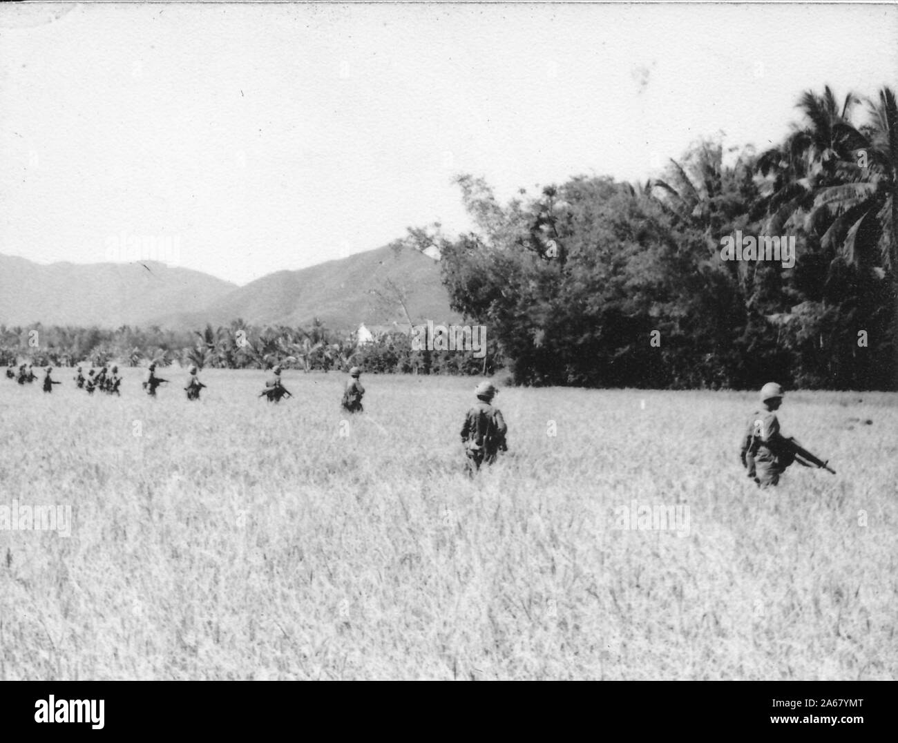 Long shot of armed American servicemen, from the back, advancing through a field with tall grasses or rice plants, toward a forested area, Vietnam, 1965. () Stock Photo