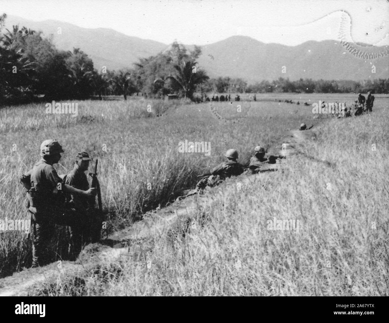 Long shot of armed American servicemen, outside on a sunny day, standing and crouching on a curved path leading through a field with tall grasses or rice plants, Vietnam, 1965. () Stock Photo
