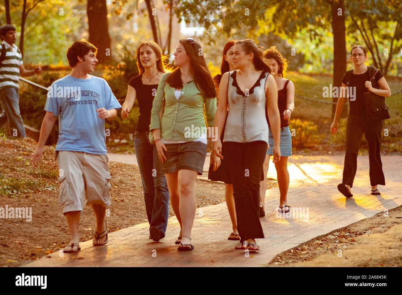 A group of students walks along a tree-lined brick path, in the late afternoon sunlight, at the Johns Hopkins University, Baltimore, Maryland, September 26, 2007. From the Homewood Photography Collection. () Stock Photo