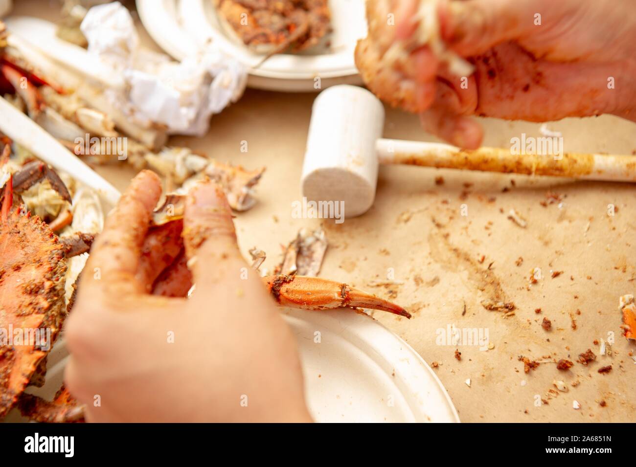 Students participate in a crab feast with the traditional Maryland dish of blue crabs, on the Homewood Campus of the Johns Hopkins University in Baltimore, Maryland, May 21, 2010. From the Homewood Photography collection. () Stock Photo