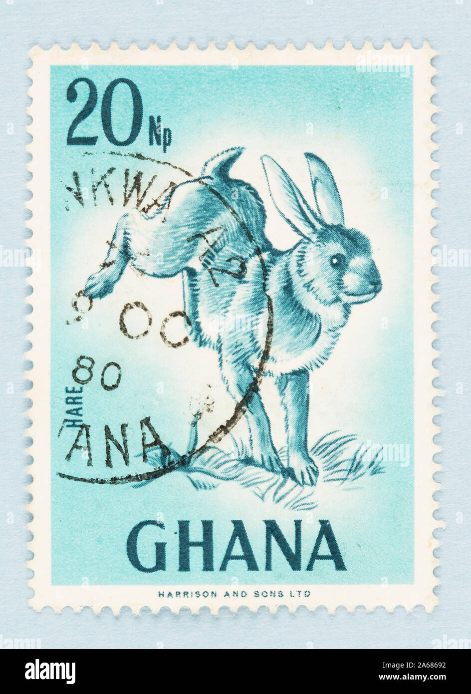 Close up of blue Ghana postage stamp featuring cape hare; Hopping ...