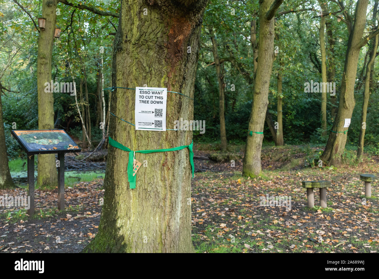 October 2019. Esso are planning to replace 90km of an existing aviation fuel pipeline from Southampton to London, and the proposed route passes through Queen Elizabeth Park in Farnborough, Hampshire, UK. The project includes cutting down many trees in the park, including mature trees. An action group has been set up by Donna Wallace, previous Green Party candidate for Rushmoor Borough Council, named Save Queen Elizabeth Park from the Esso Aviation Fuel Pipeline. Notices have been put up on the threatened trees and green ribbons tied round them, and a petition has been started Stock Photo