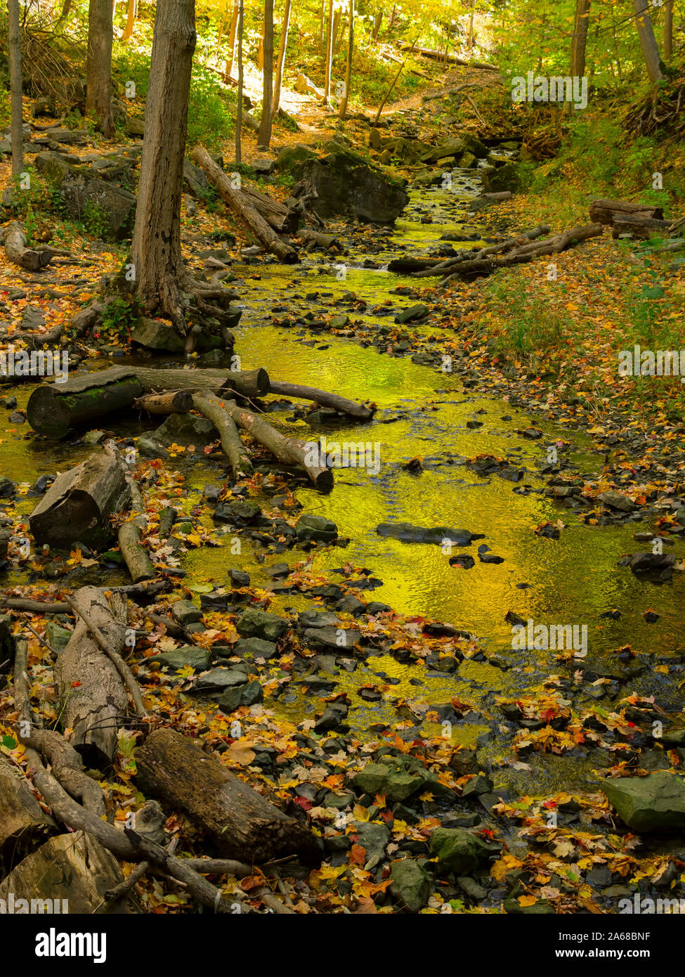 Tiffany falls conservation area hires stock photography and images Alamy