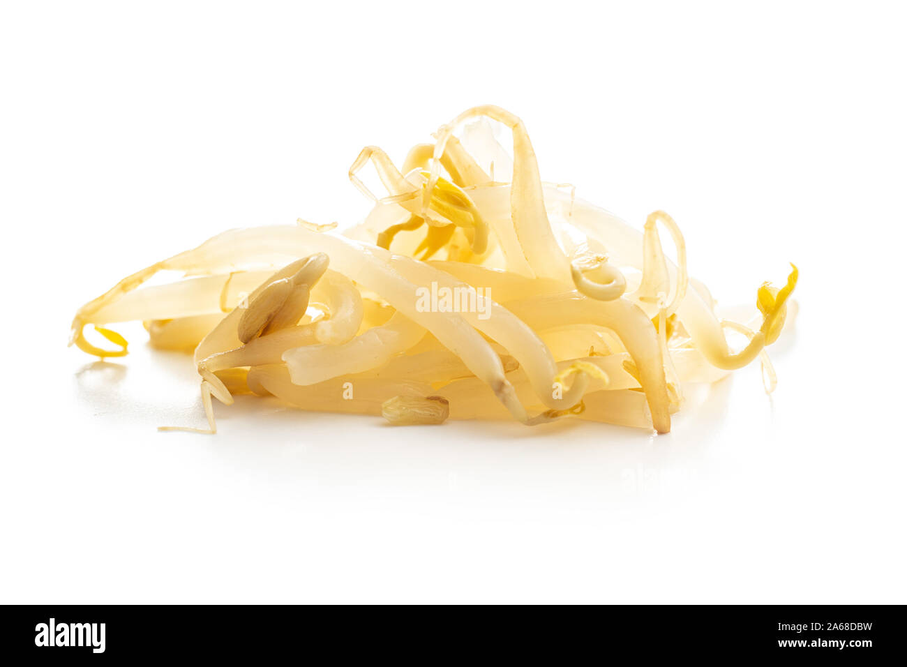 Preserved mung sprout isolated on white background. Stock Photo