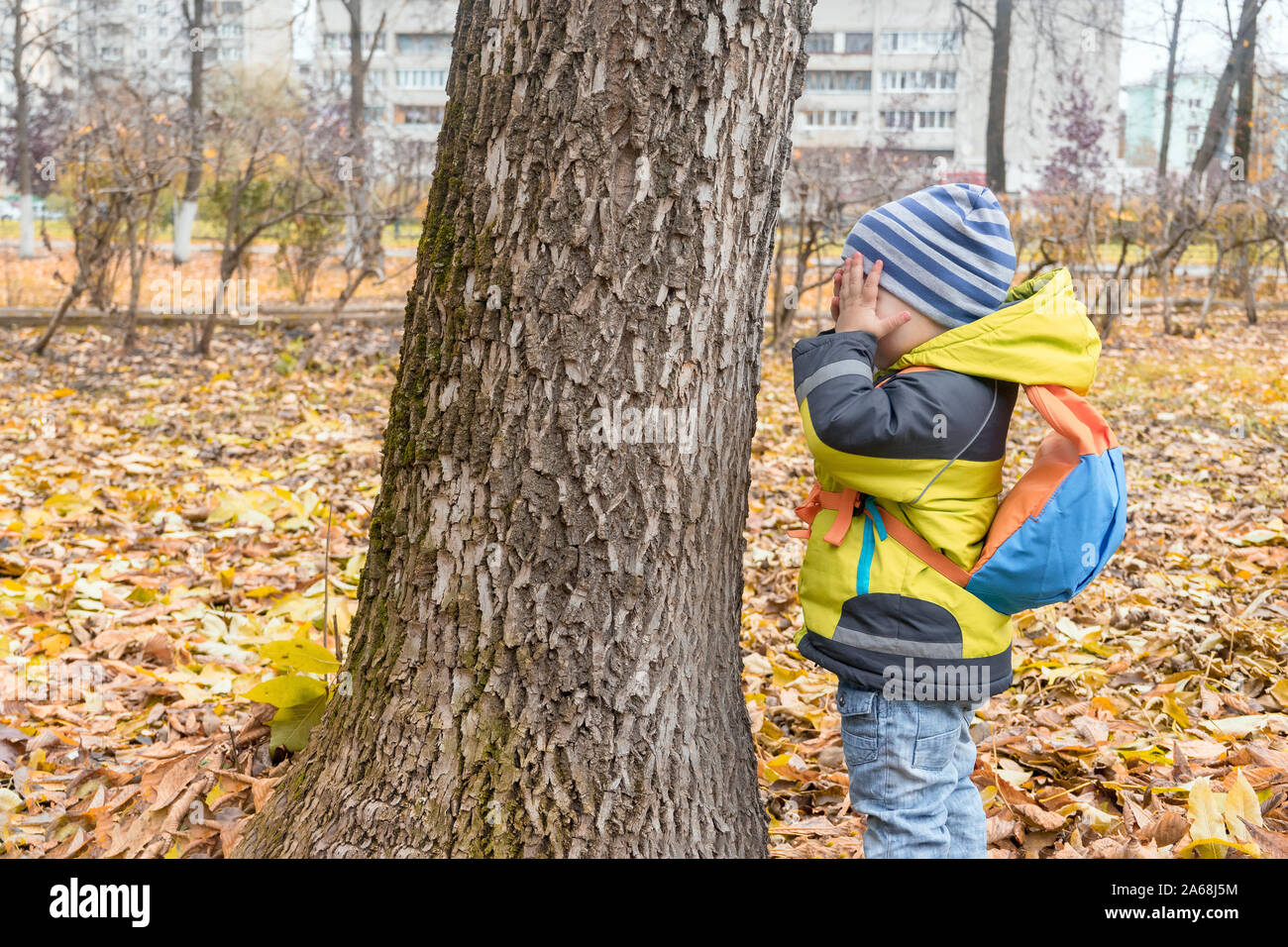 Kids Playing Hide And Seek Concealing Behind Tree And Bush Vector