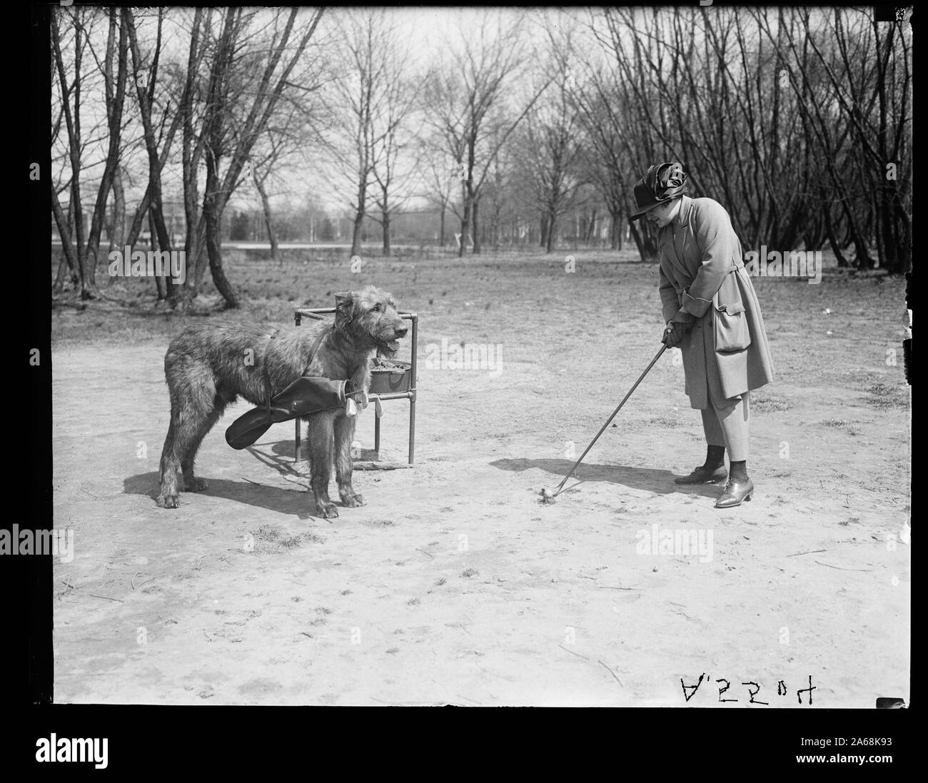 Human and dog bonding Black and White Stock Photos & Images - Alamy