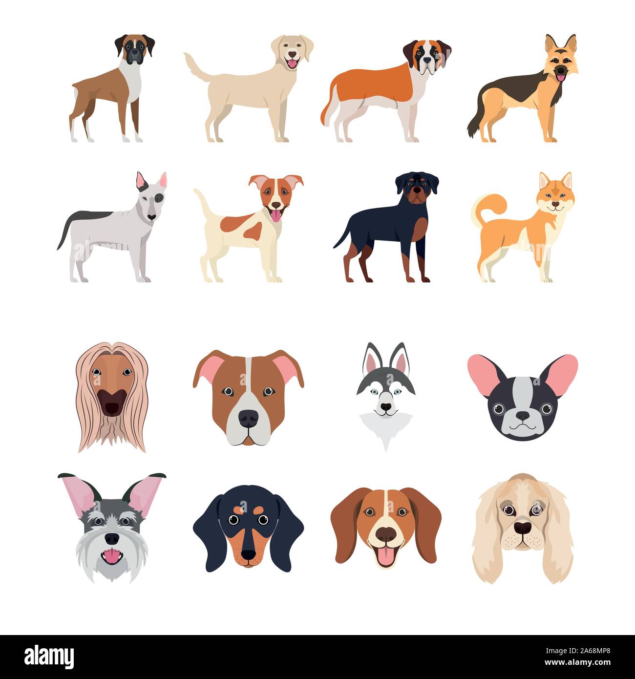 Breeds of puppies Stock Vector Images - Alamy