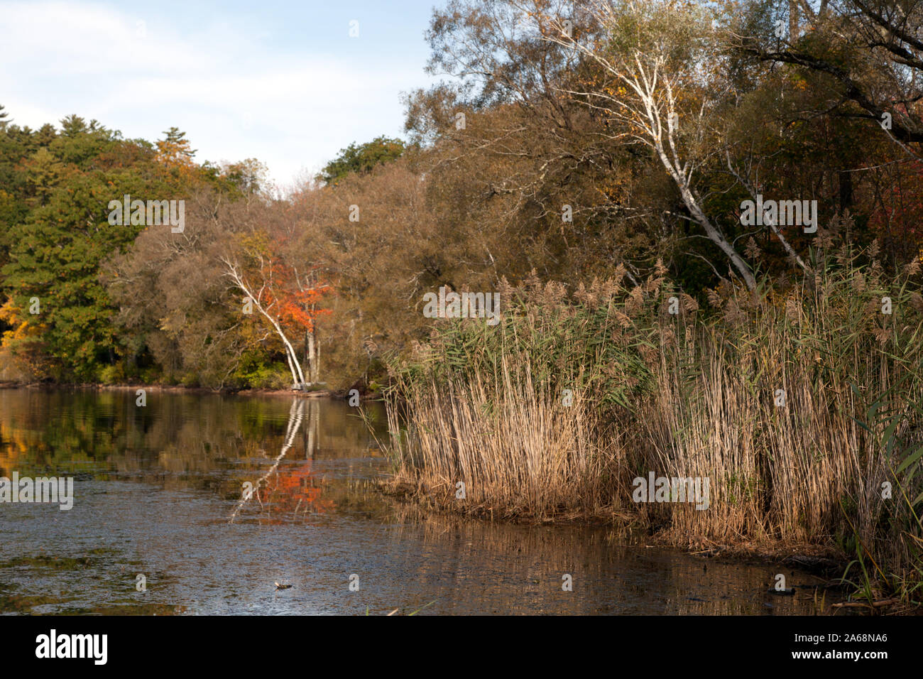 Wononskopomuc lake hires stock photography and images Alamy
