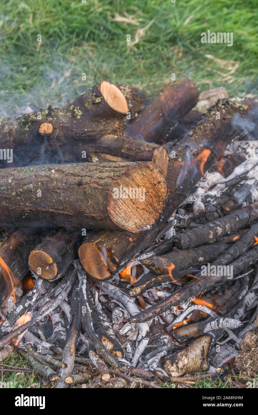 Orange and red flames of a burning wood camp fire / burning twigs