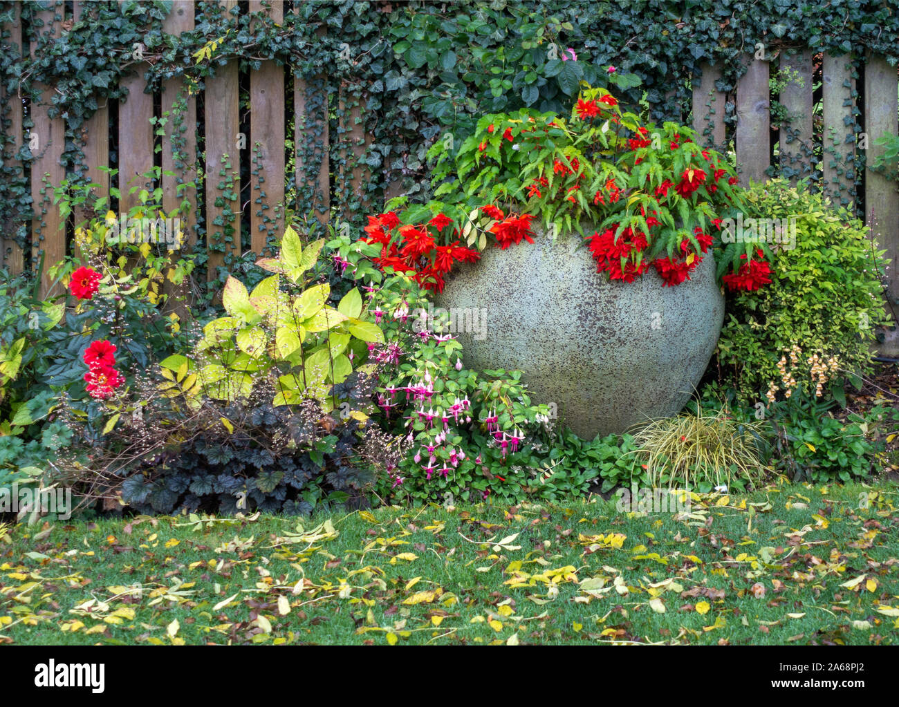 very large garden clay pot with flowers Stock Photo Alamy