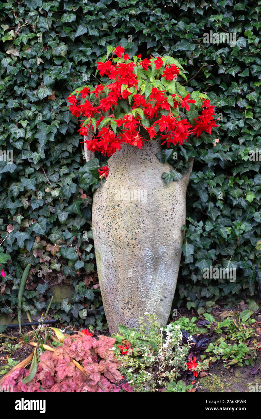 Large terracotta pot flowers hi-res stock photography and images - Alamy