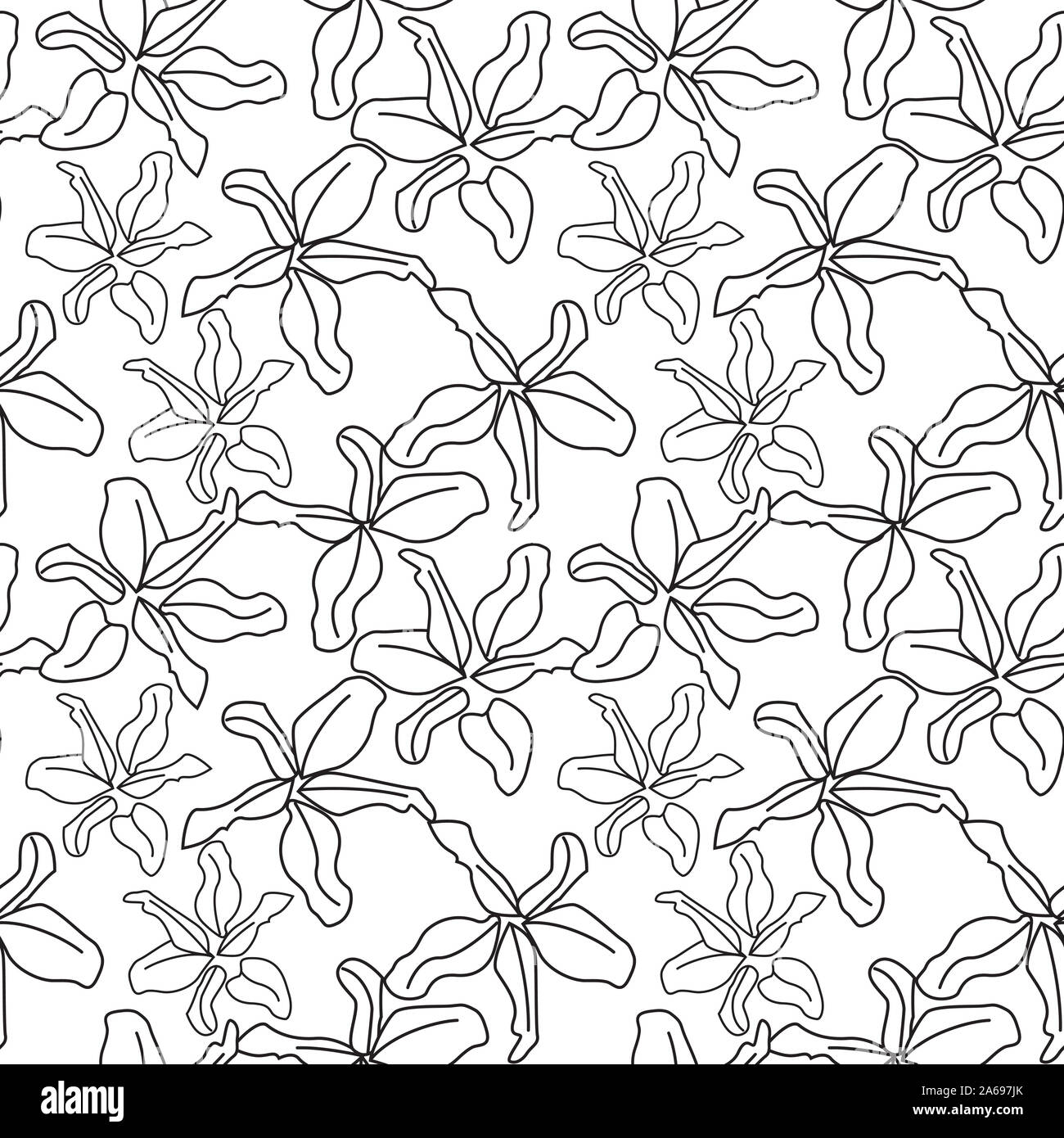 Colourful Decorative Botanical Floral Pattern in Vector - Suitable for prints, patterns, backgrounds, websites, wallpaper, crafts Stock Photo