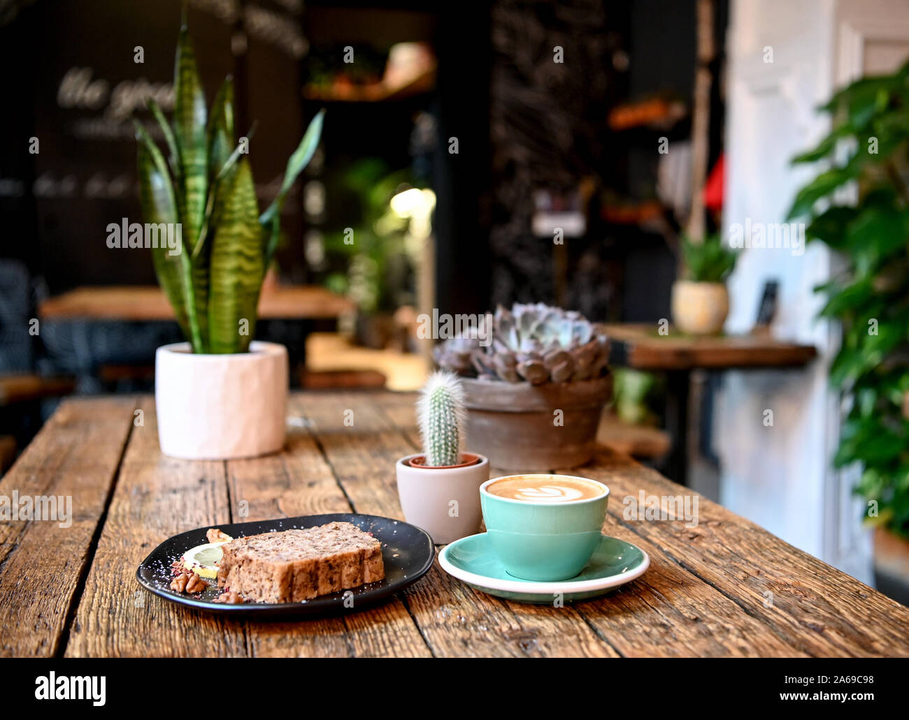 Berlin, Germany. 24th Oct, 2019. Coffee, cake and houseplants are all on  one table at Caf "The Greens". (To Korr " Green and chic: Young city  dwellers let plant market boom" of
