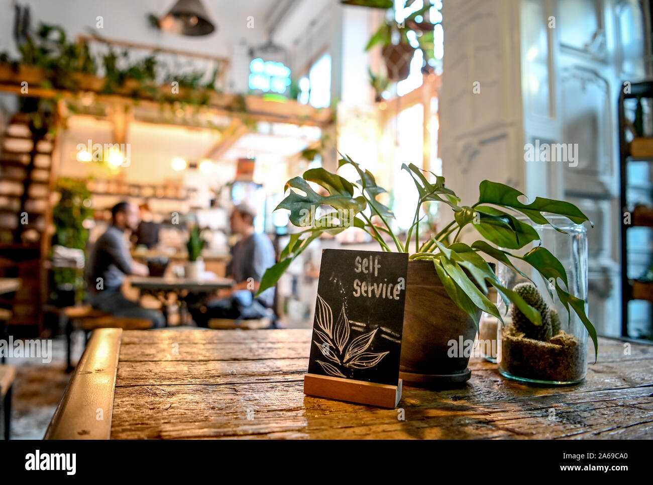 Berlin, Germany. 24th Oct, 2019. Two young men are drinking coffee at The  Greens. (To Korr " Green and chic: Young city dwellers let plant market  boom" of 25.10.2019) Credit: Britta Pedersen/dpa-Zentralbild/dpa/Alamy