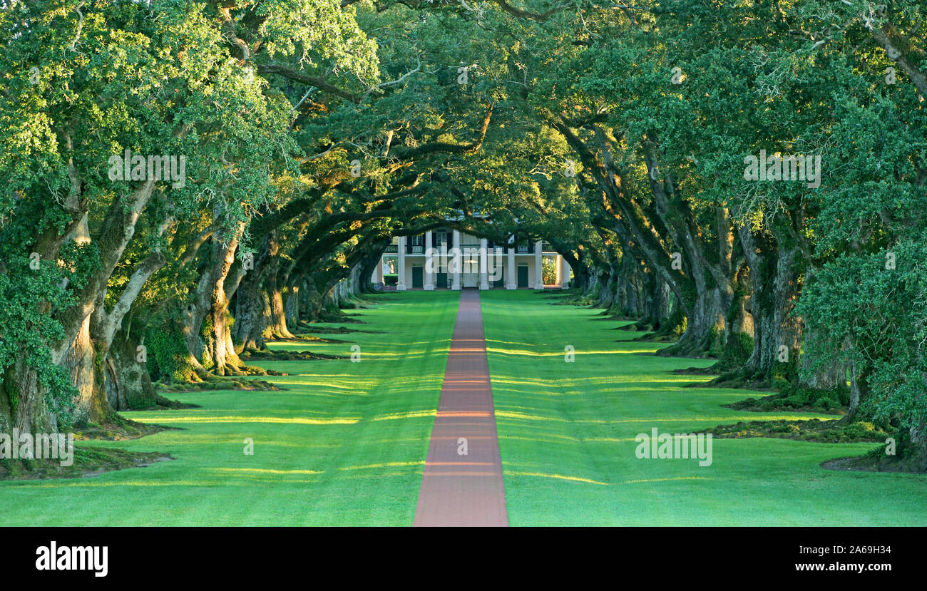 Oak alley plantation hi-res stock photography and images - Alamy