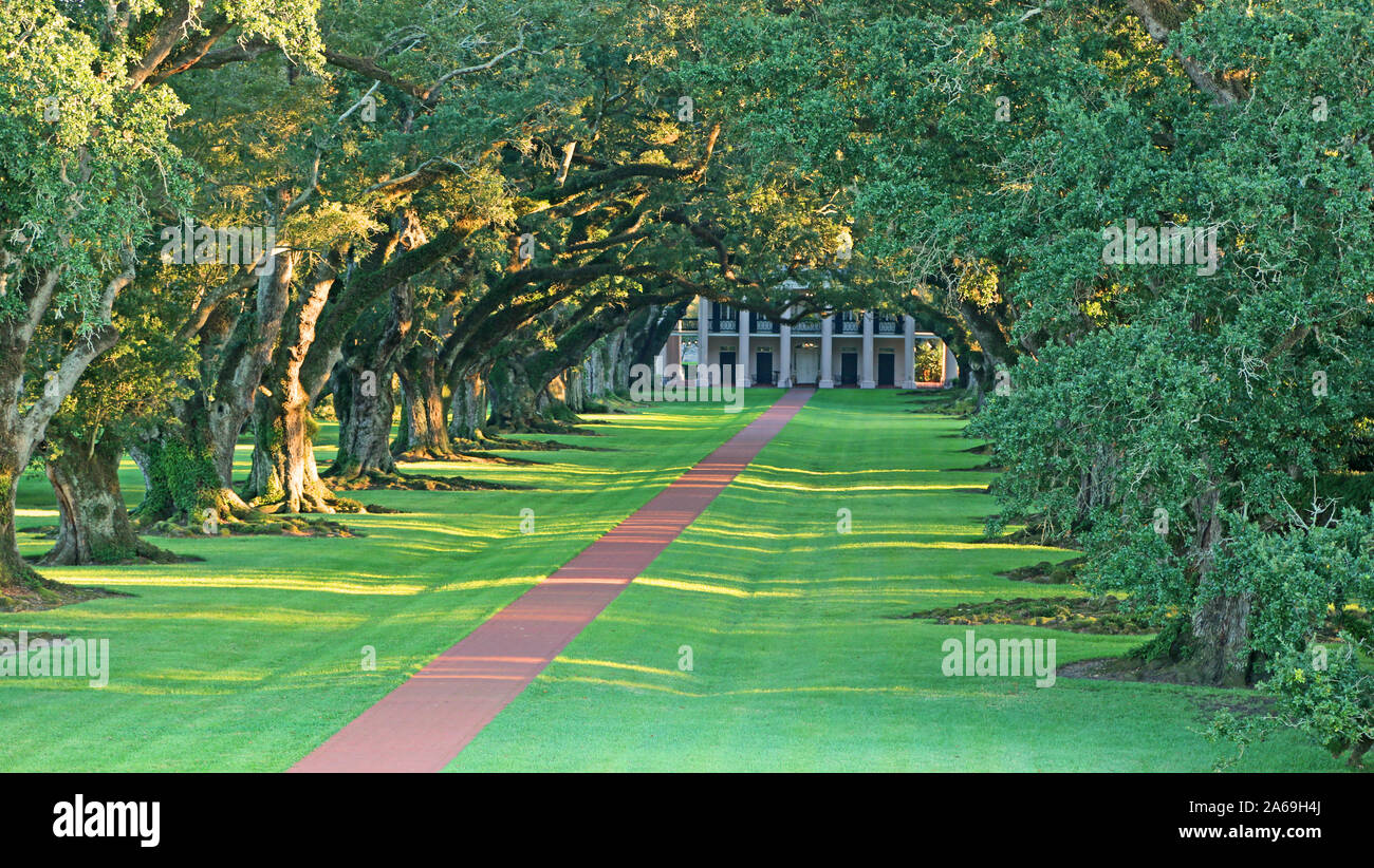 Oak alley plantation vacherie louisiana hi-res stock photography and ...